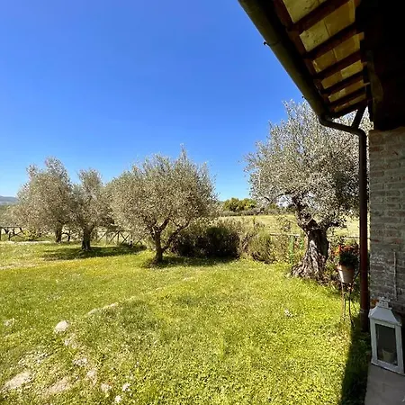 Villa Casale In Pietra Con Piscina Avigliano Umbro