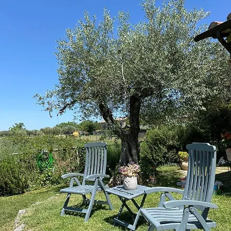 Casale In Pietra Con Piscina Villa Avigliano Umbro